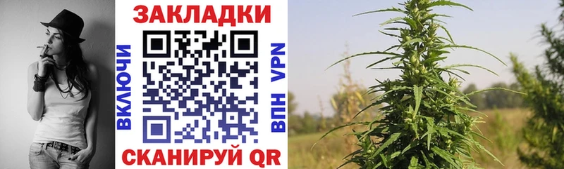 Купить закладку APVP  Галлюциногенные грибы  МЕФ  ГАШИШ  Бошки Шишки  Железноводск