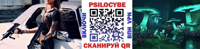 Купить где Железноводск Псилоцибиновые грибы Cubensis